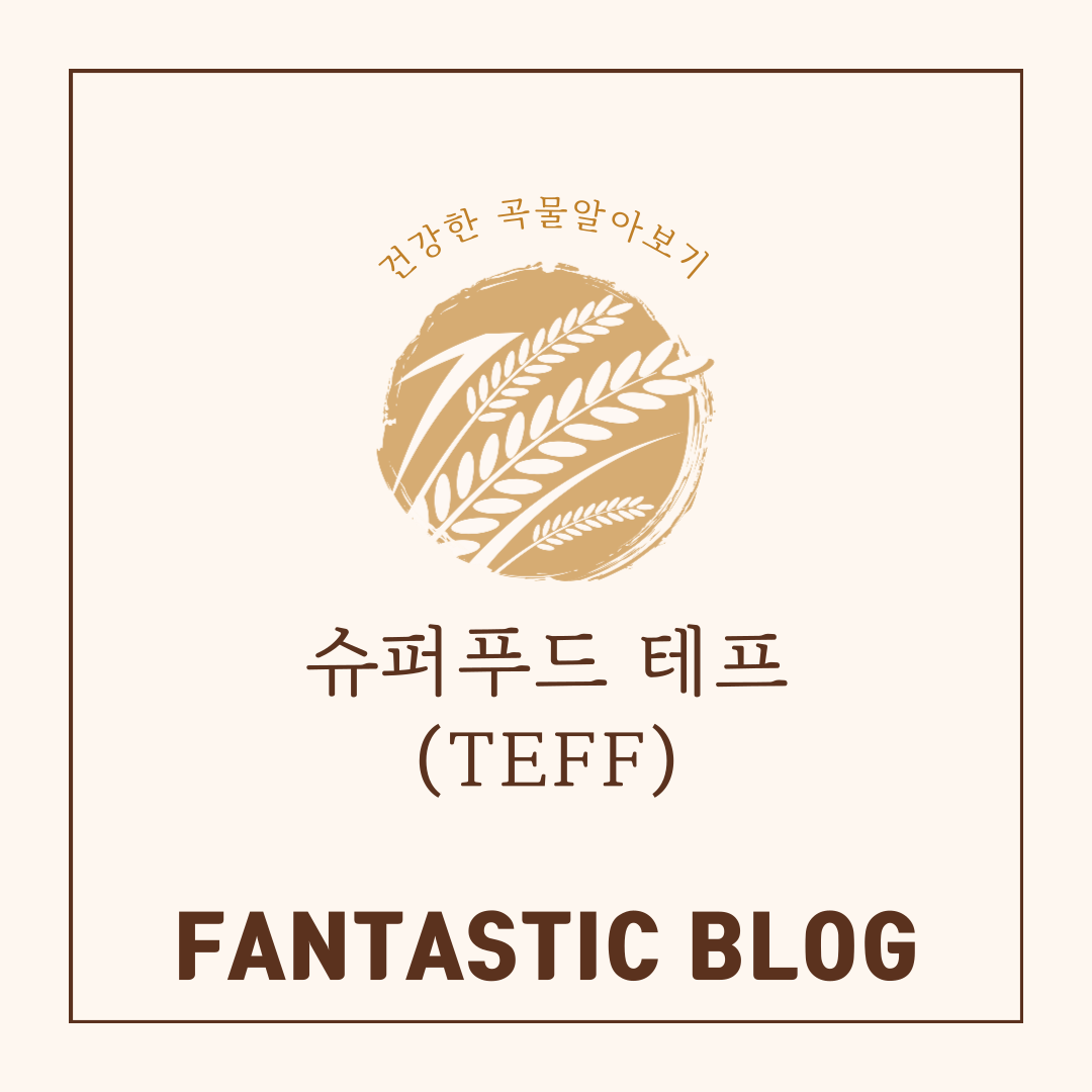 슈퍼푸드 테프