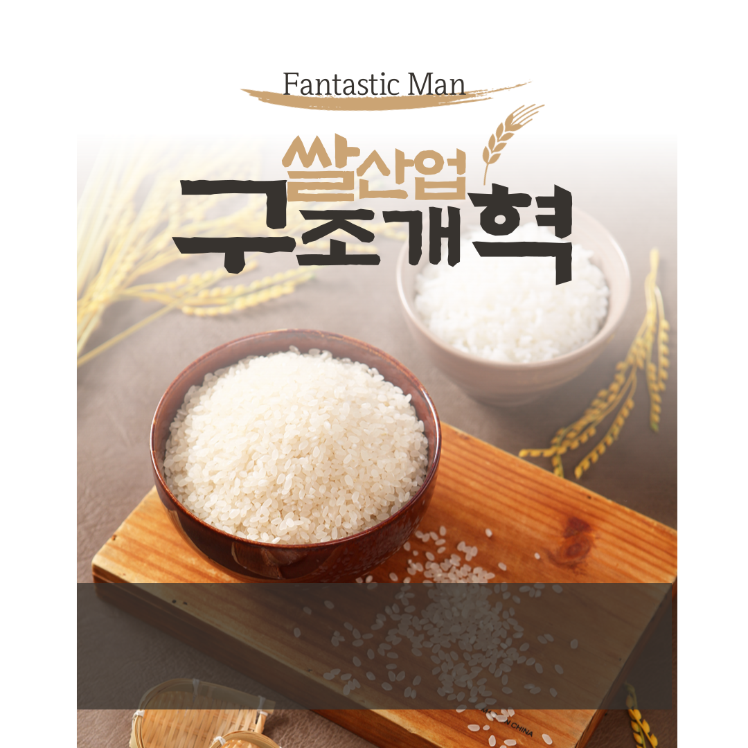 쌀