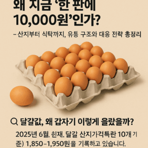 가격폭등