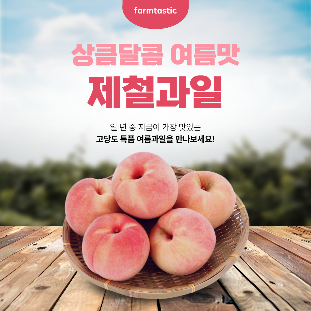 제목을 입력해주세요 001 10
