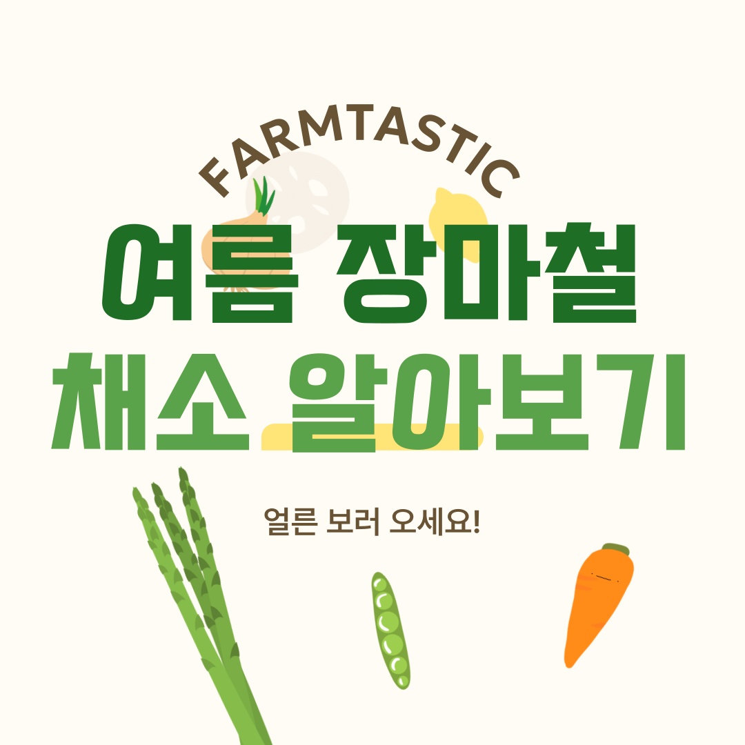 여름 장마철 채소